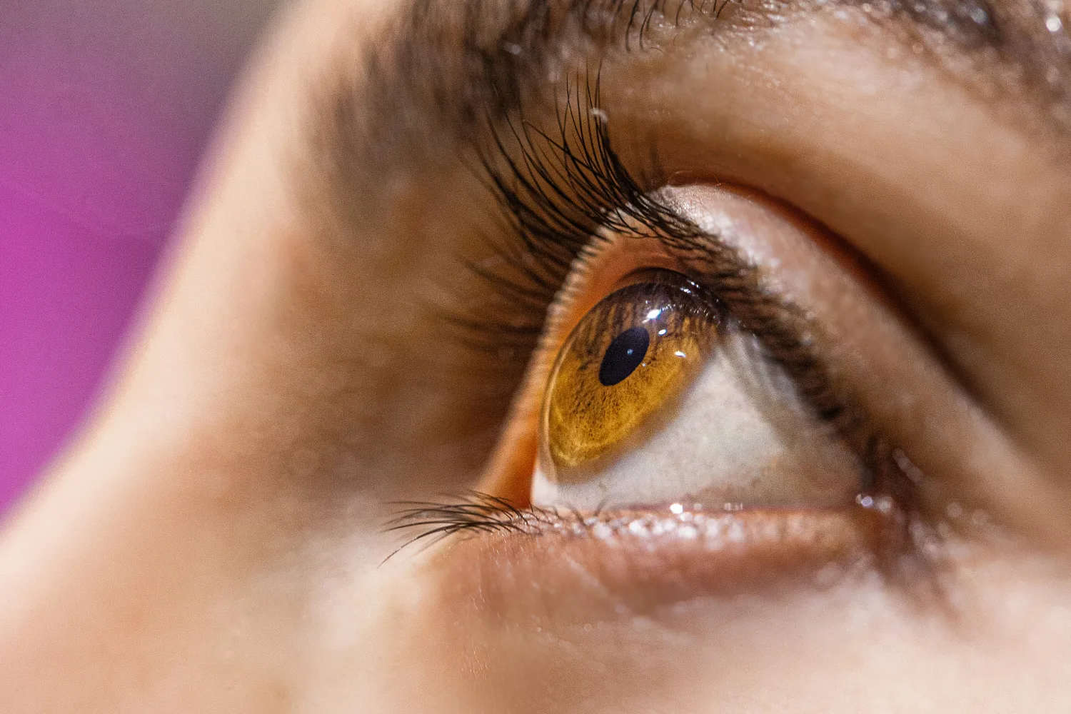 Clínica de mácula y degeneración macular